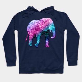 Rainbow elephant Hoodie